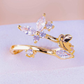 Anillos